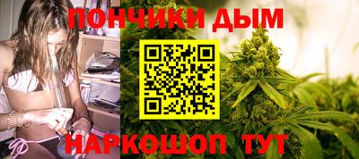 сатива Краснокаменск