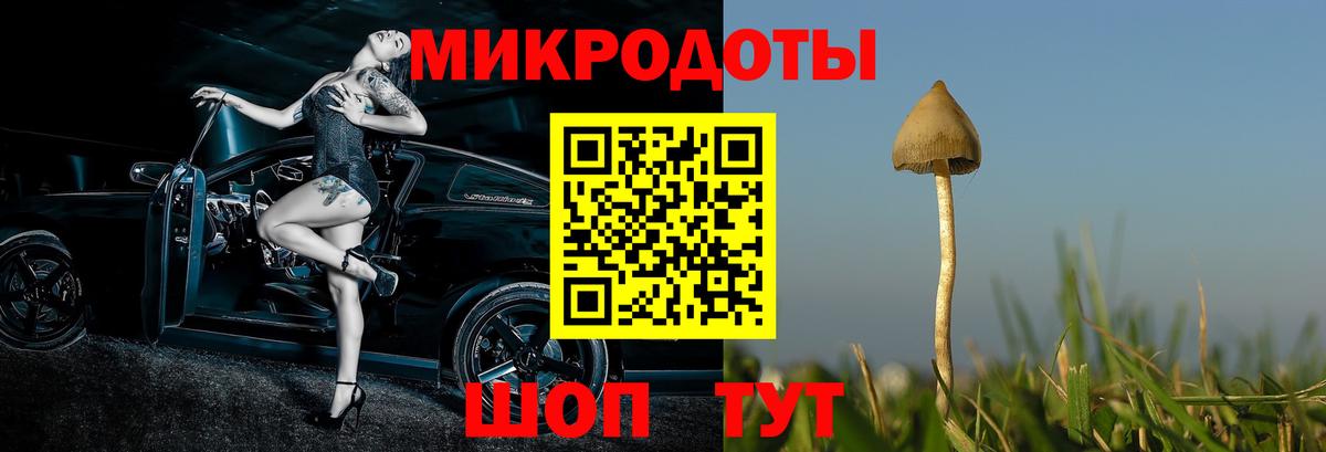 Псилоцибиновые грибы Cubensis  Галлюциногенные грибы Psilocybine cubensis  Унеча  Вход с VPN 